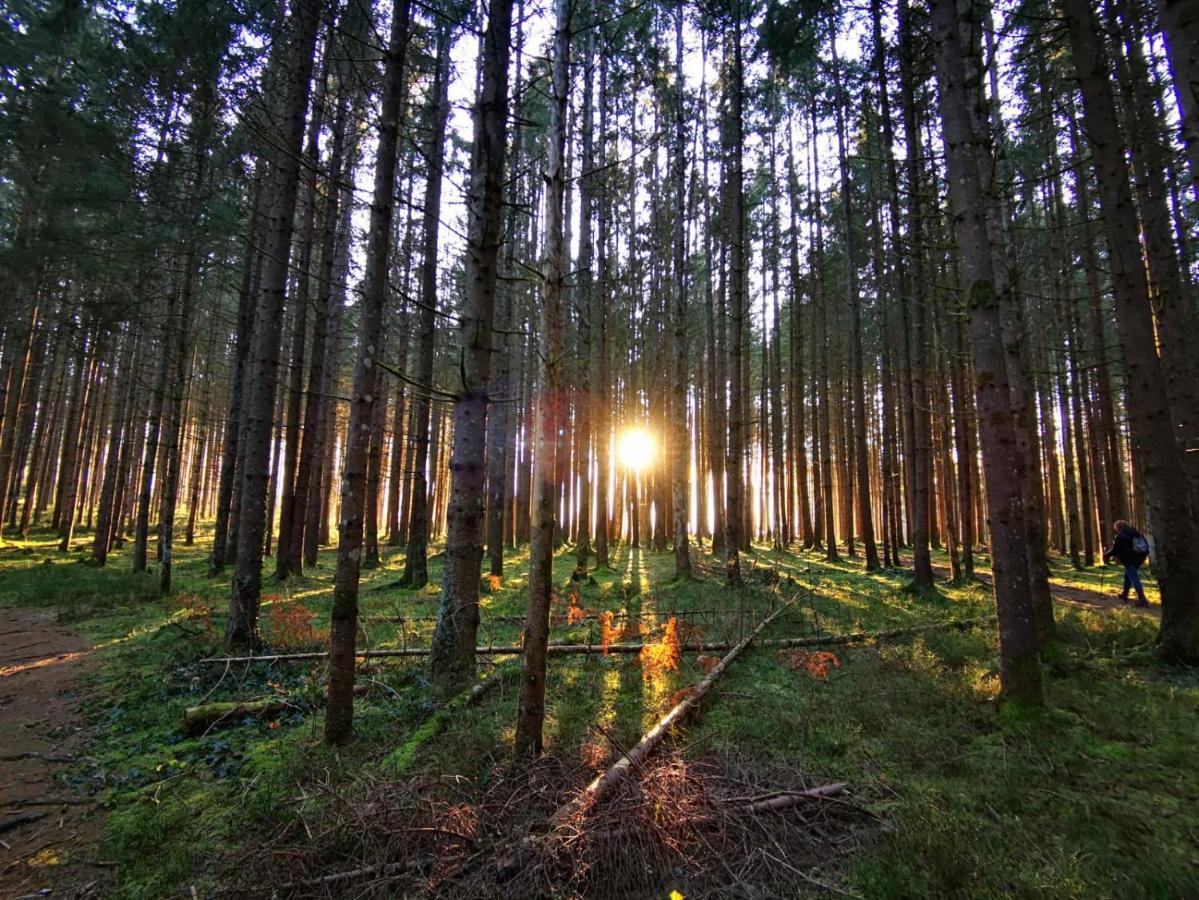 Landhotel Haeuserl Im Wald Grobming Buitenkant foto